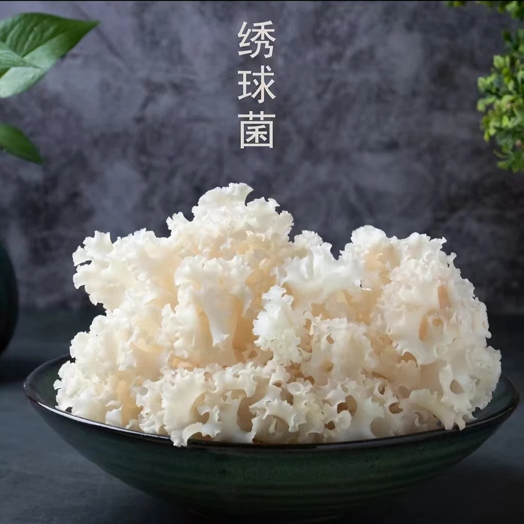 云南农产品新鲜绣球菇