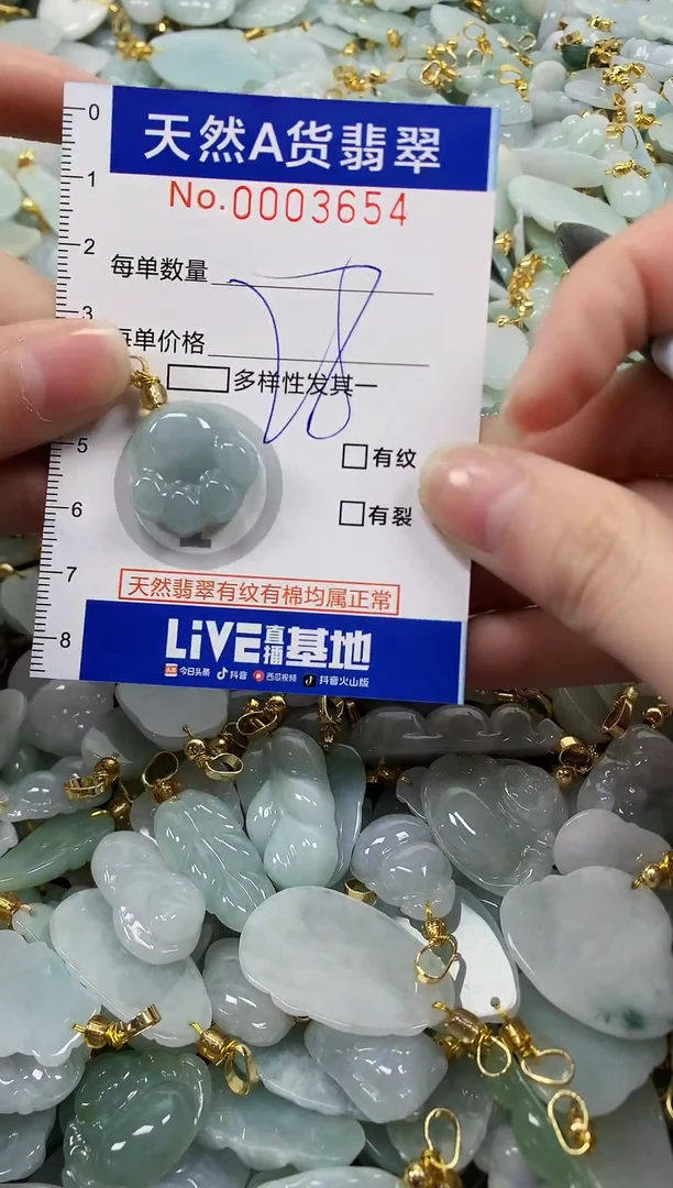 颈饰未镶嵌翡翠纯天然a货翡翠