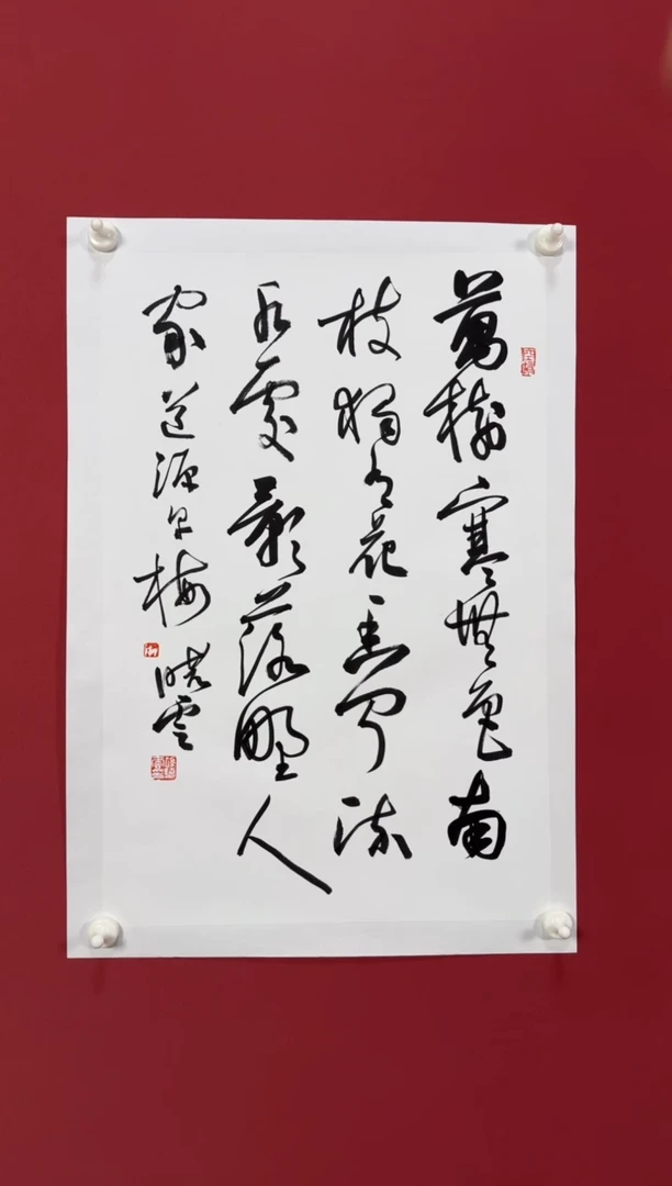 书法早梅书法1111