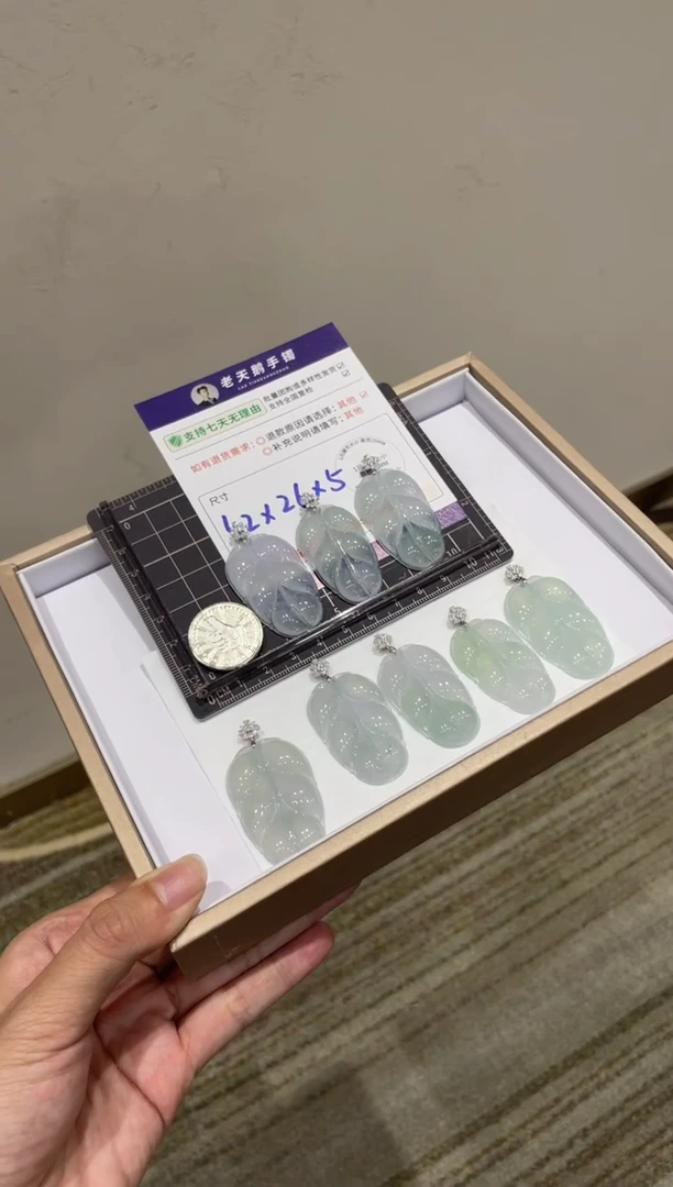 颈饰18K金镶嵌翡翠高货叶子配链16/多样性发其一CP配绳
