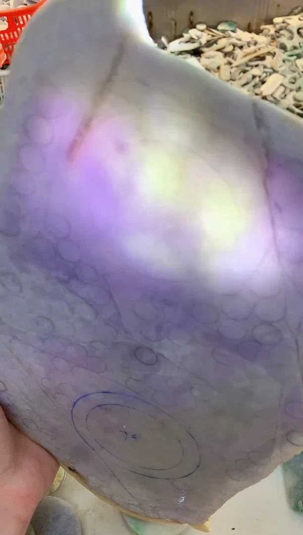 【闪购商品】翡翠颈饰未镶嵌0东0翡翠珠宝835