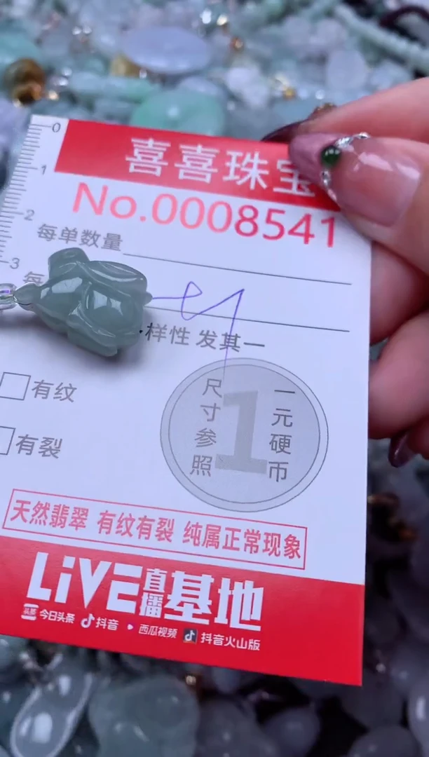 颈饰未镶嵌翡翠8541