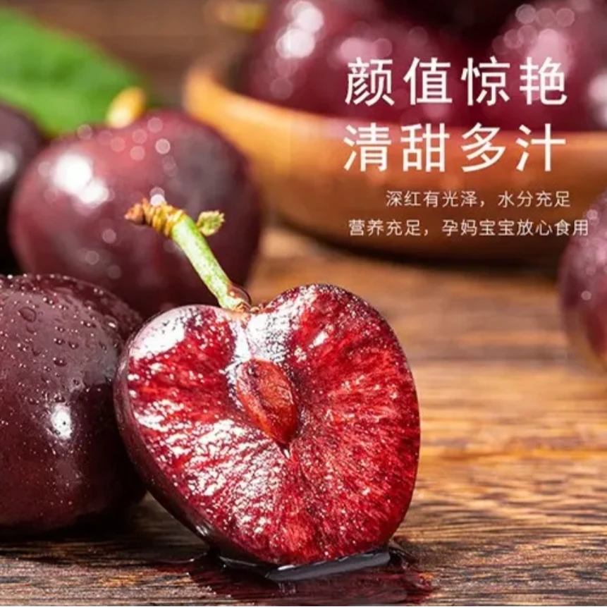 4JD空运智利车厘子【今天拍明天到】新鲜内附果径卡1.6斤/5斤桑提娜樱桃智利共和国