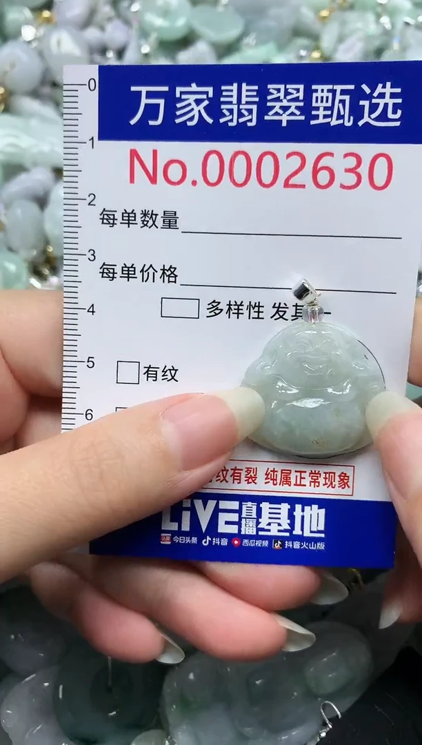 吊坠(不含链)未镶嵌翡翠2630