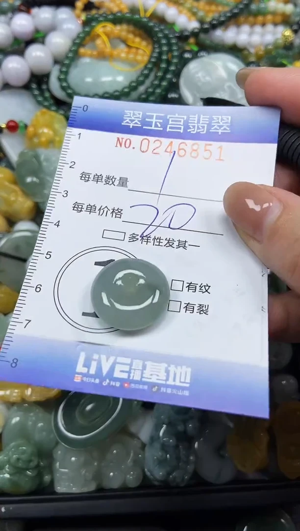 颈饰未镶嵌翡翠闪购C0246851