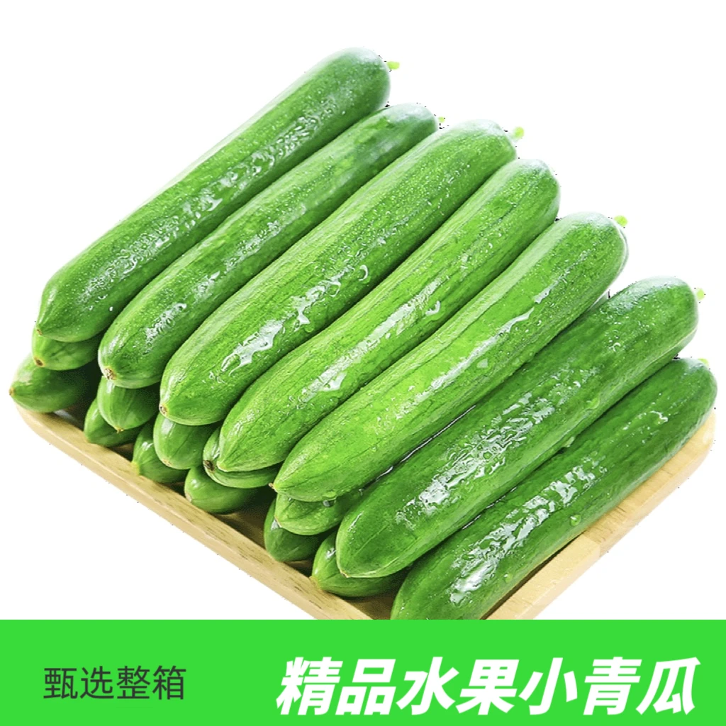 一整箱｜5斤水果小黄瓜广西水果脆嫩新鲜1斤3斤精品当日采摘小青瓜