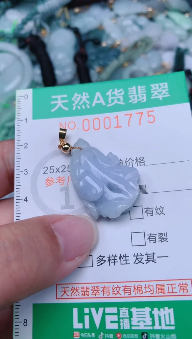 颈饰未镶嵌翡翠.0001775
