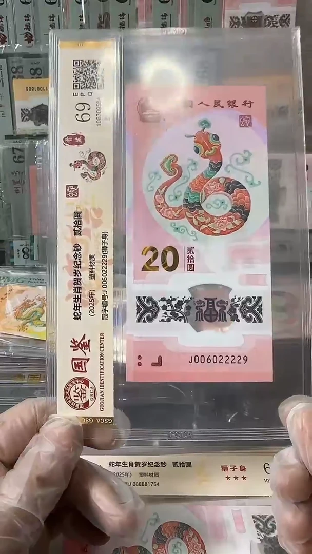 塑料006022229-蛇钞单张