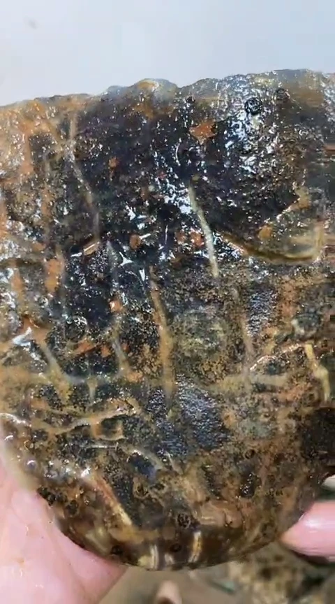 定制玛瑙品**心原石302563