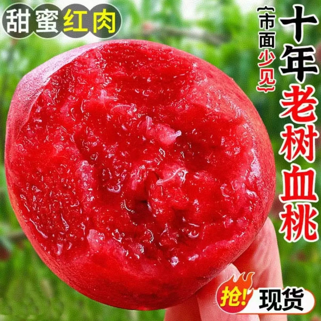 老树中华红血桃红心红肉桃子可脆软两吃老少皆宜