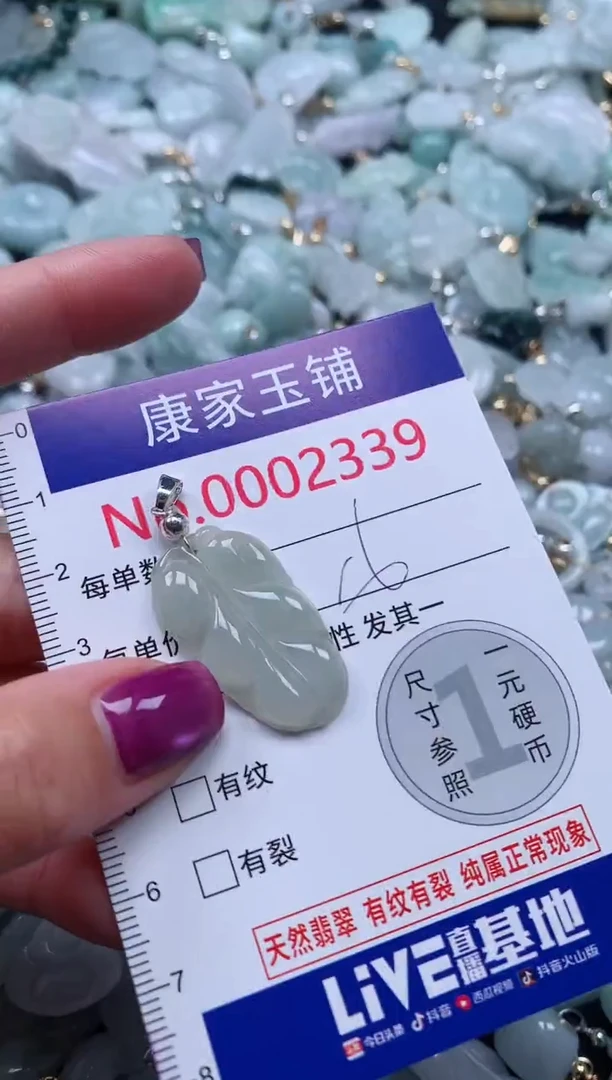 颈饰未镶嵌翡翠2339