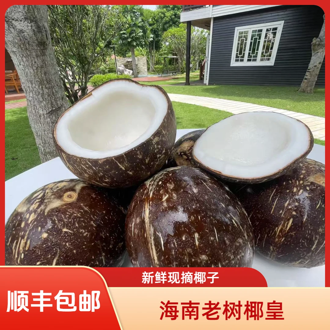 【顺丰冷链直发】海南老树椰皇牛奶椰皇椰青新鲜椰子老椰子孕妇水果