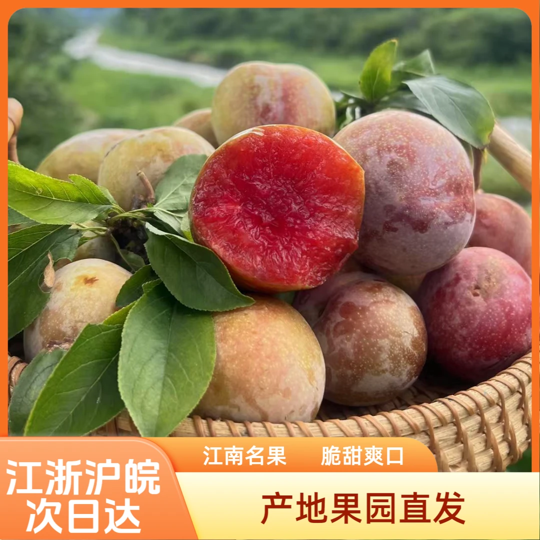 嵊州桃形李 产地直发 新鲜 现摘现发 水果脆甜李 包邮