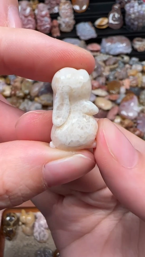 颈饰未镶嵌硅化珊瑚（珊瑚玉）404