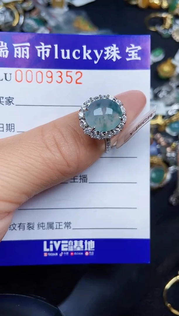 翡翠银S925镶嵌颈饰9352