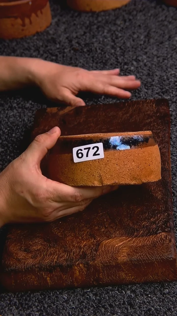 【闪购商品】碟器而不舍........672