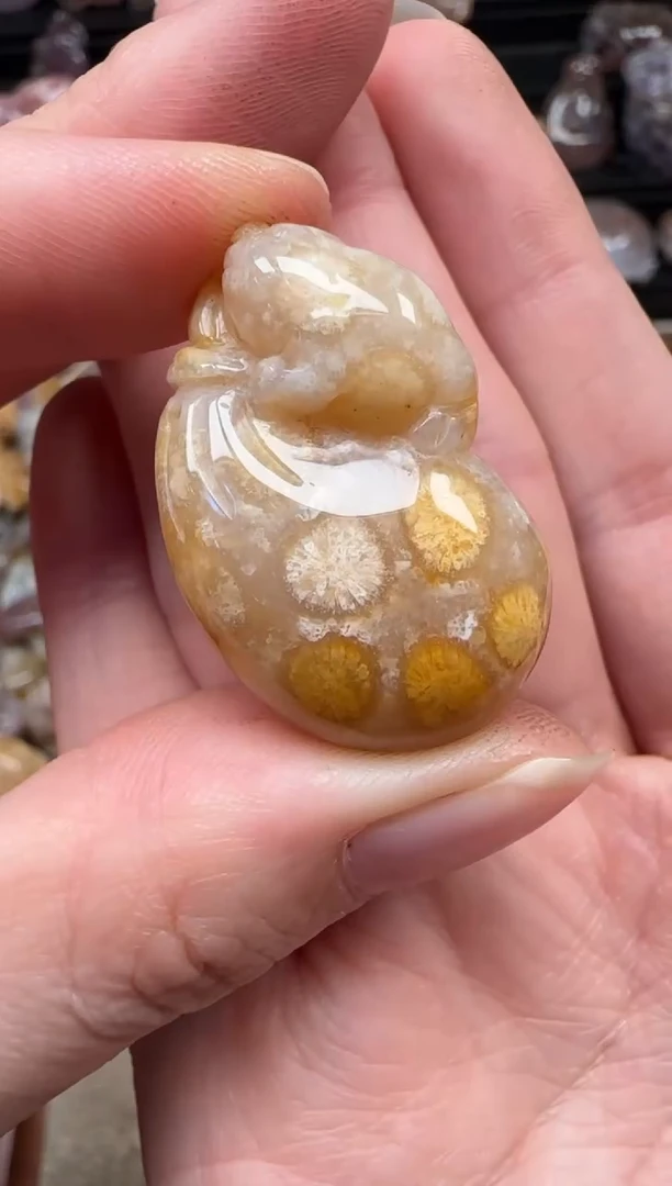 颈饰未镶嵌硅化珊瑚（珊瑚玉）919