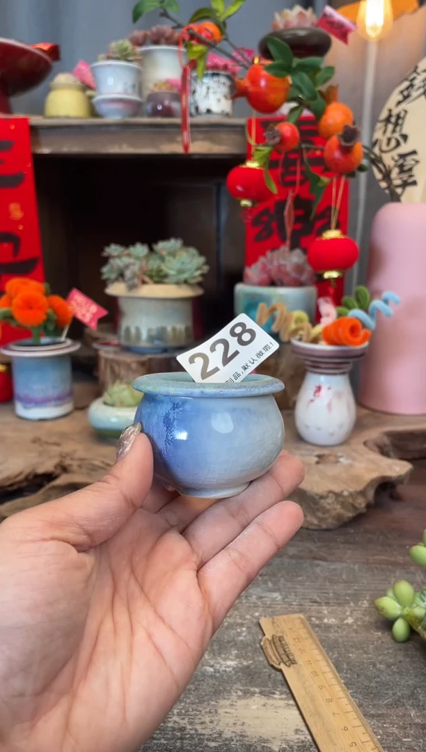 【闪购商品】摆件228知木小芳花盆编号