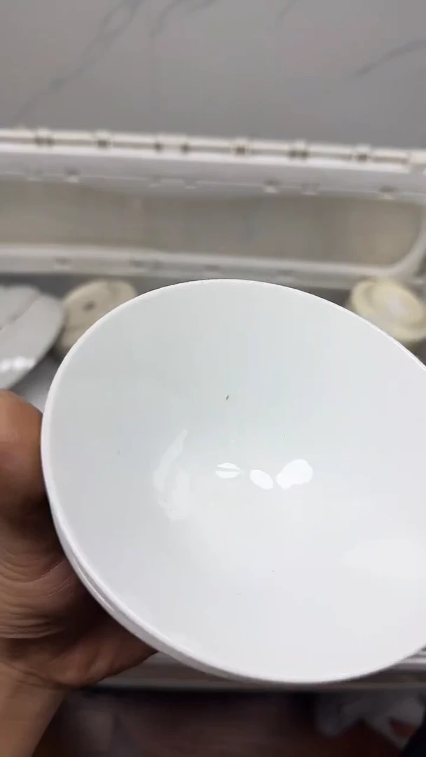 【闪购商品】484回流瓷器默认微瑕，18.8包邮