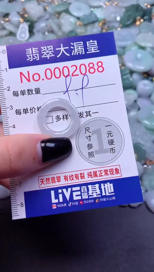 颈饰未镶嵌翡翠2088