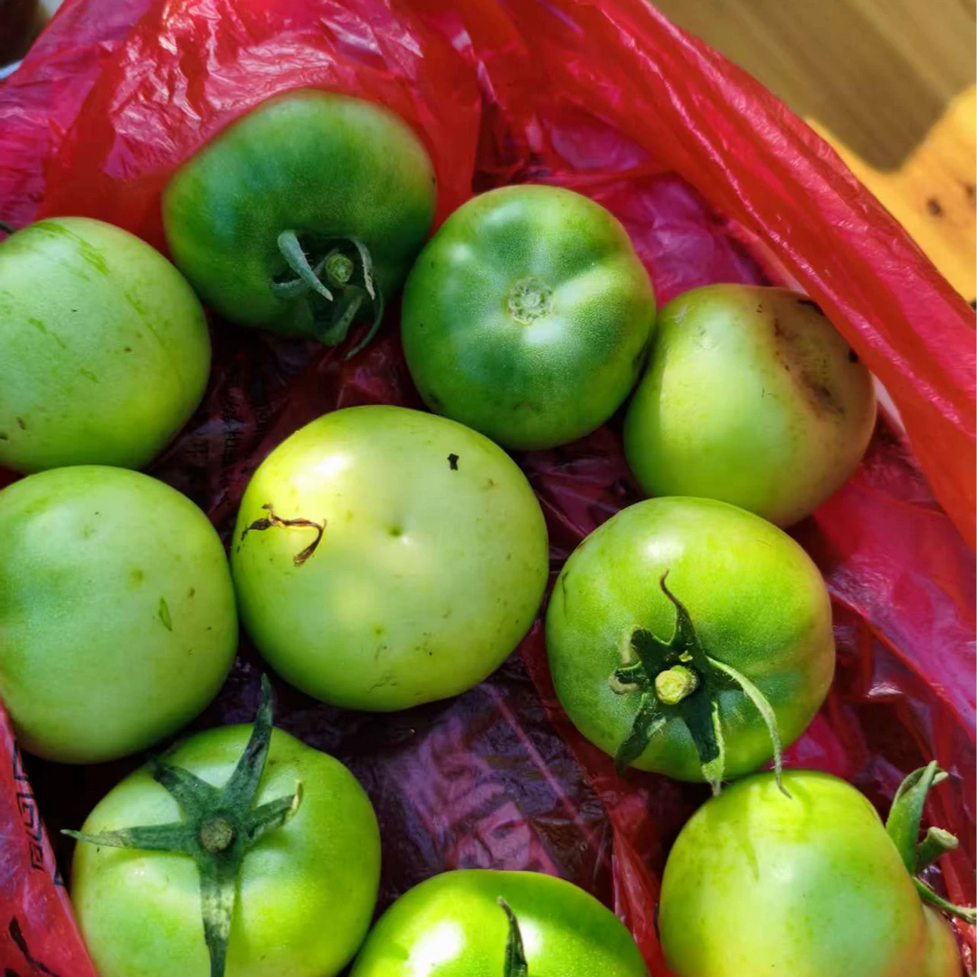 农家自种青西红柿