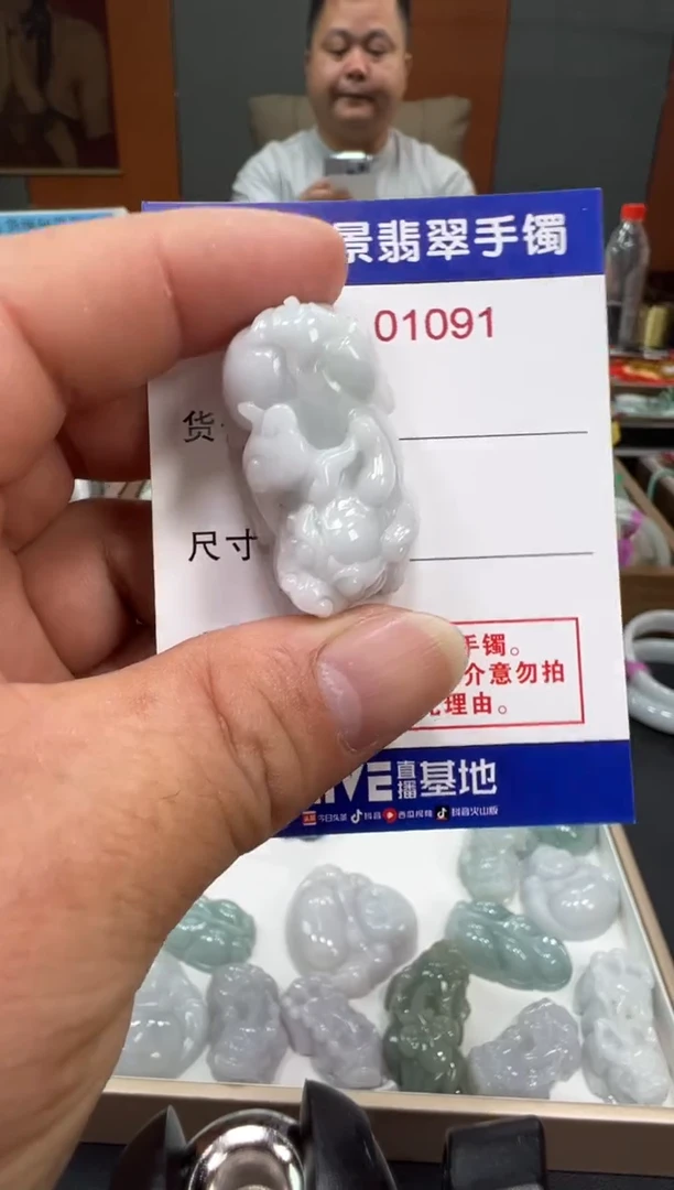 颈饰未镶嵌翡翠天然A货缅甸翡翠貔貅