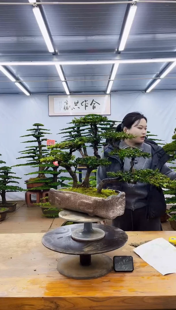 无花朵一物一拍，所见即所得