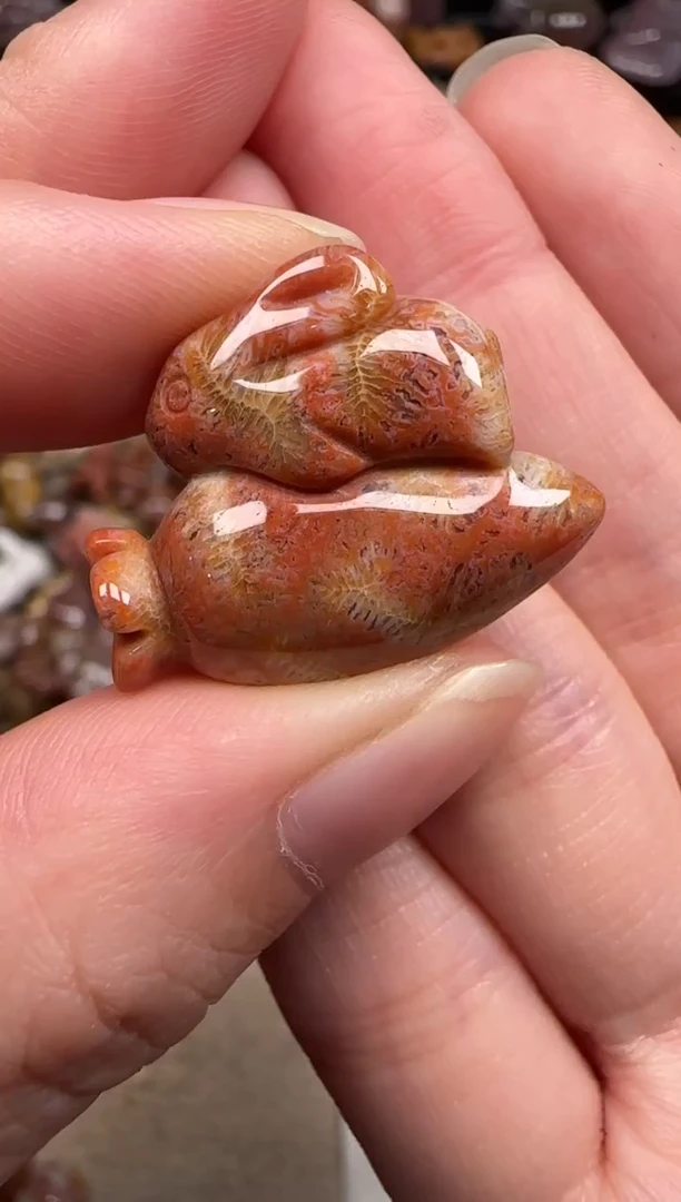硅化珊瑚（珊瑚玉）未镶嵌颈饰806