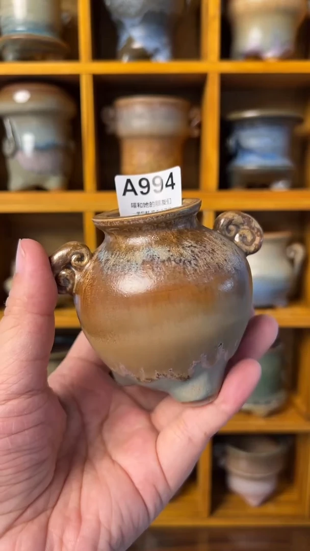 994【多肉花盆多肉盆】