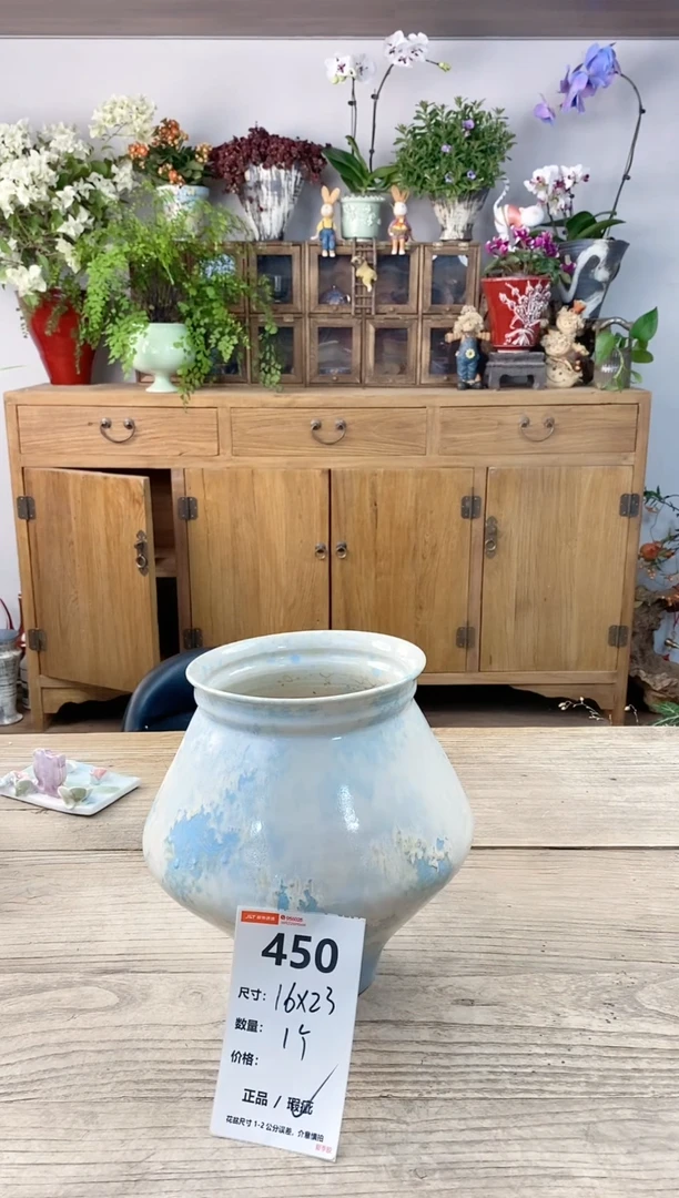 小玩子花盆直播编号450