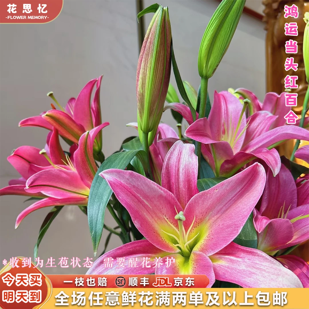 『次日达·鸿运当头红色系百合8-9朵』不少于2枝 全场任意满两单鲜花顺丰京东包邮 三单鲜花送玻璃花瓶鲜花直播