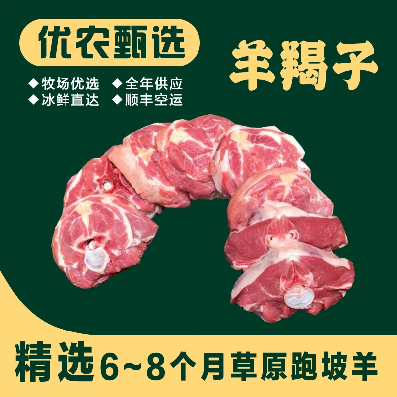 精选6-8个月草原跑坡羊羊蝎子肉质鲜美精品肉蝎子火锅麻辣红烧