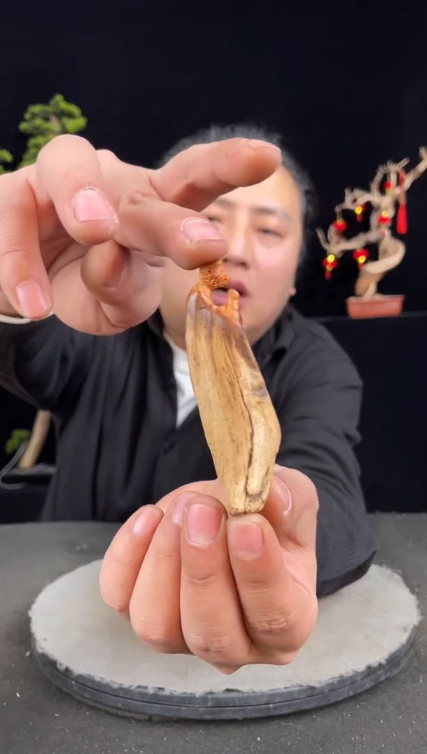 【闪购商品】柏木（崖柏）其他手工摆件,先抢先得!