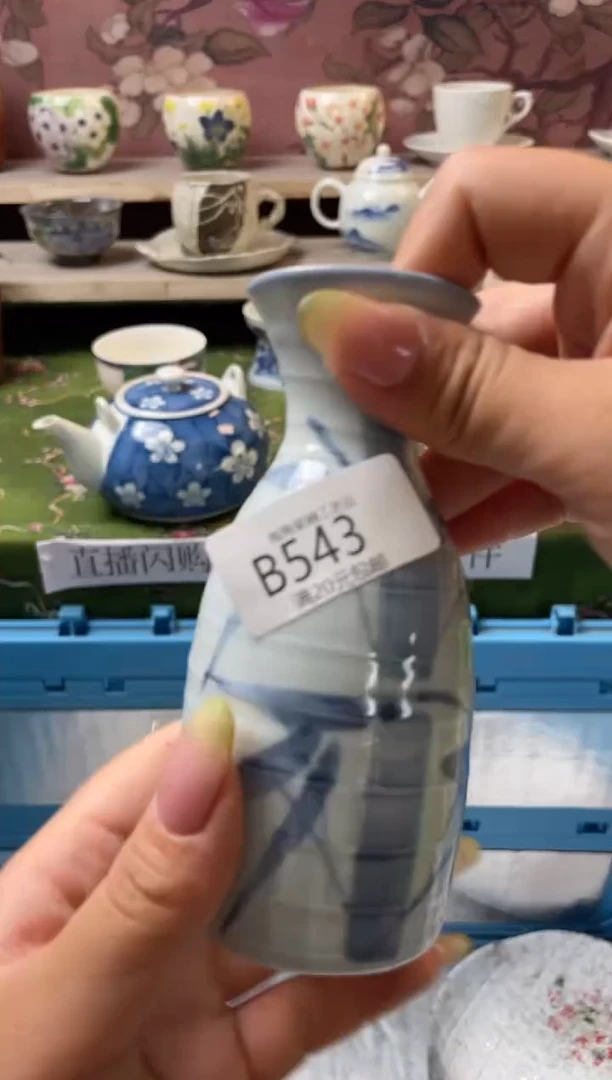杯-----------B543