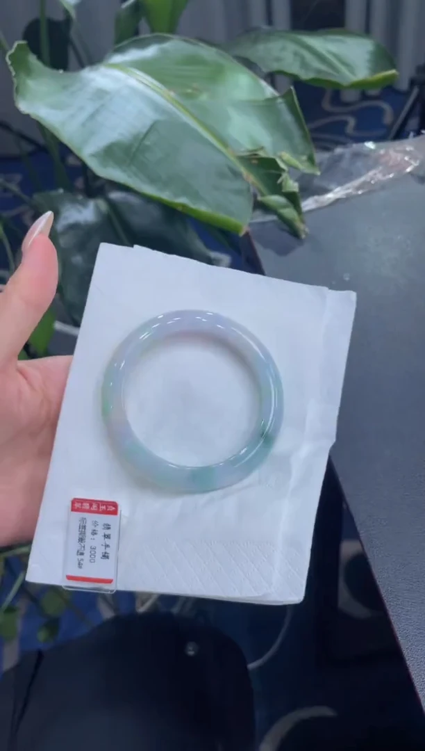 未镶嵌手镯翡翠8164****