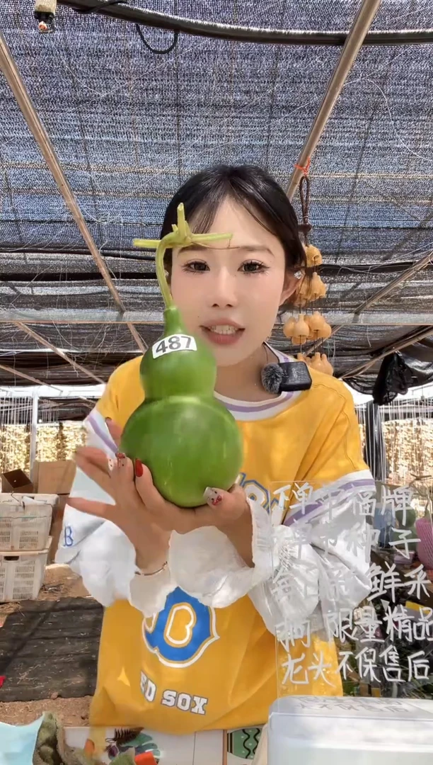 487天然葫芦摆件 一物一拍龙头不保售后