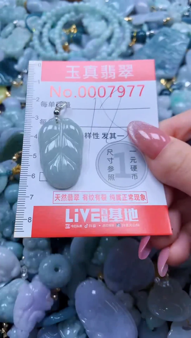翡翠未镶嵌吊坠(不含链)7977