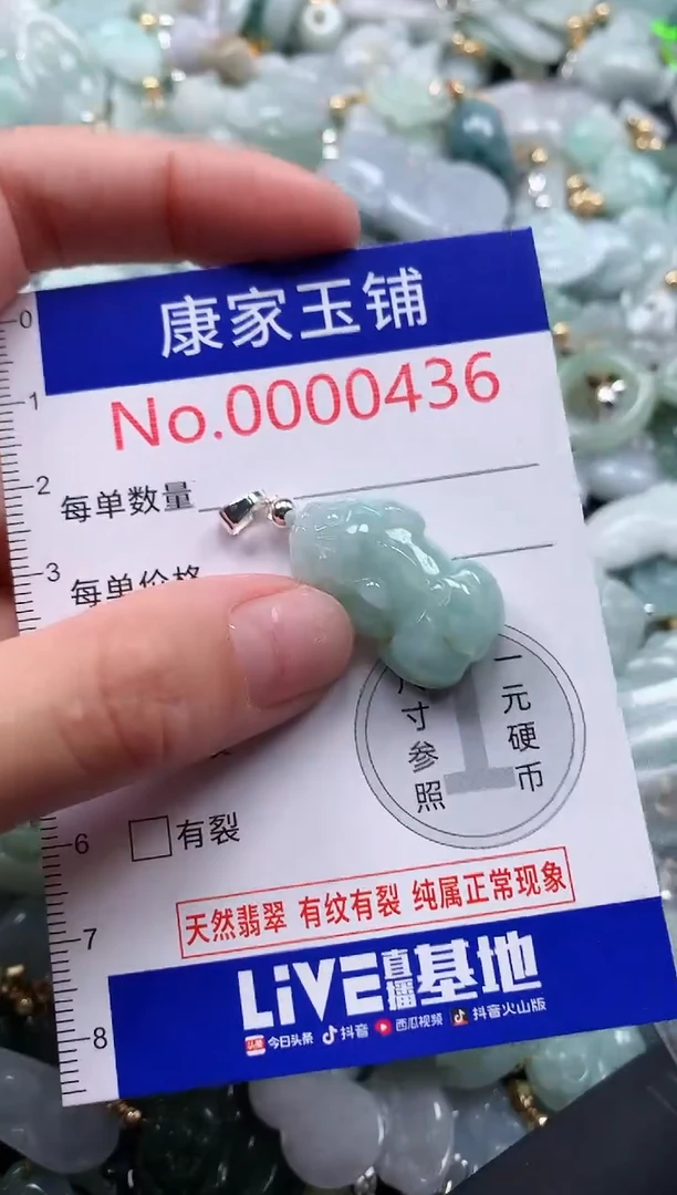 翡翠未镶嵌吊坠(不含链)436