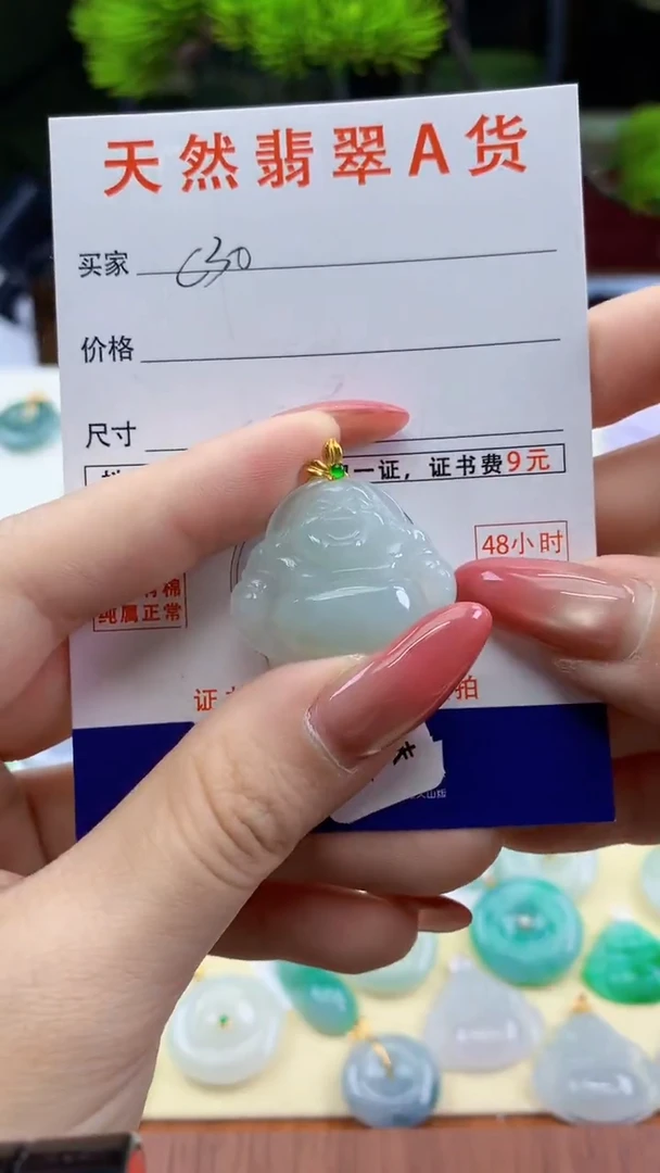 颈饰未镶嵌翡翠天然A货翡翠挂件