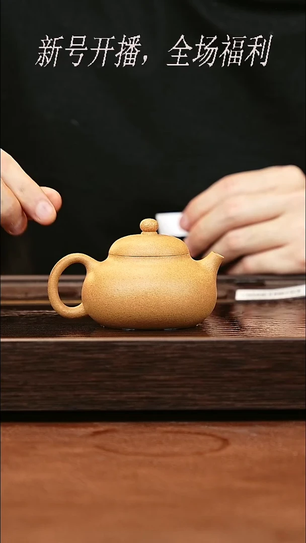 茶壶紫砂3y48黄金段文旦