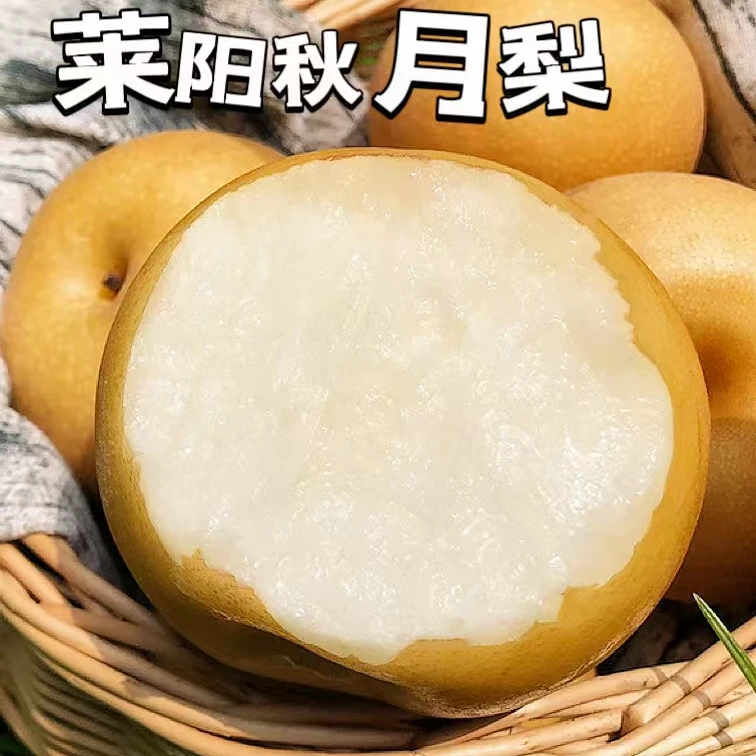 全网爆款莱阳秋月梨礼盒装冰糖梨当季新鲜水果脆甜多汁甜农产食品