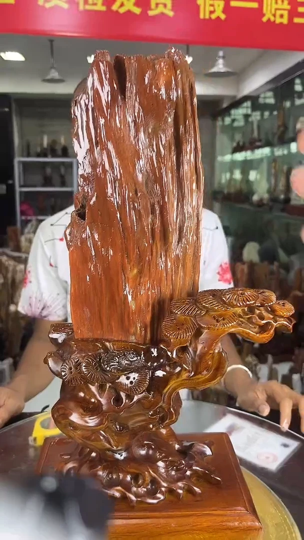 硅化玉珠宝奇石未镶嵌缅甸天然树化玉