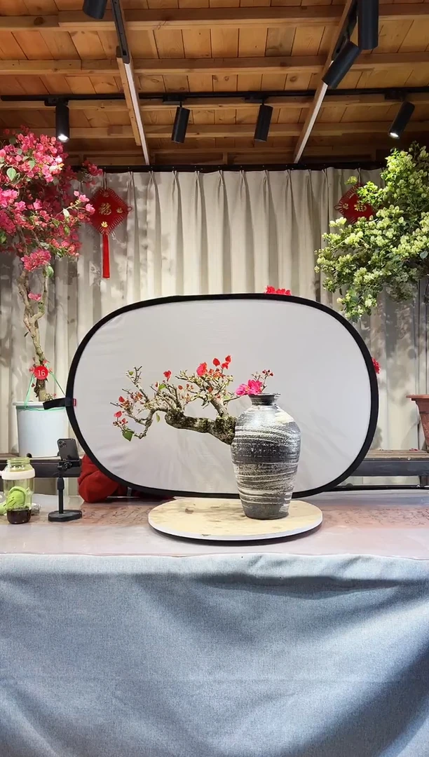 【闪购商品】盆景同安红