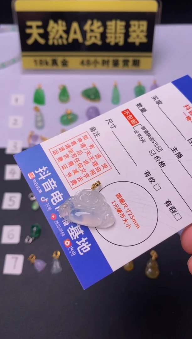 颈饰18K金镶嵌翡翠天然A货翡翠