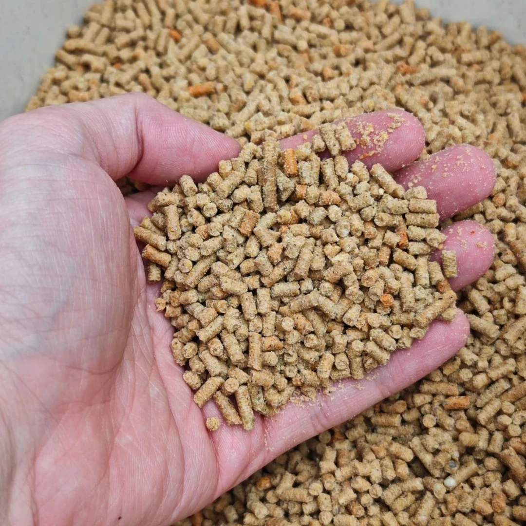 鹦鹉长肉瘦不长胖必备滋养丸鸟粮断奶幼鸟成鸟