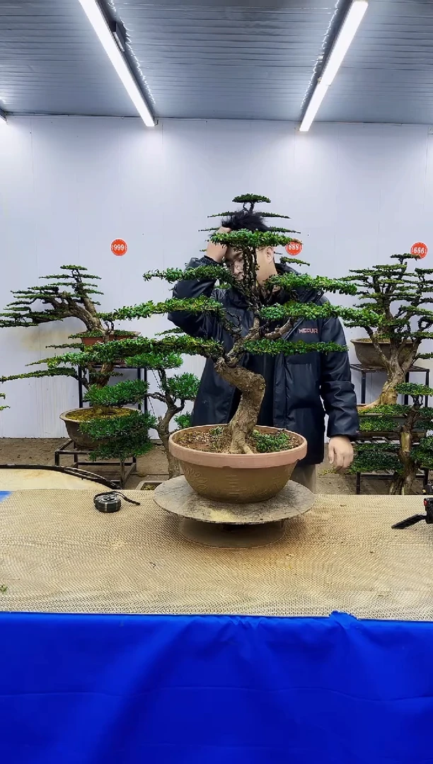 完全开放乐**中一物一拍，所见即所得