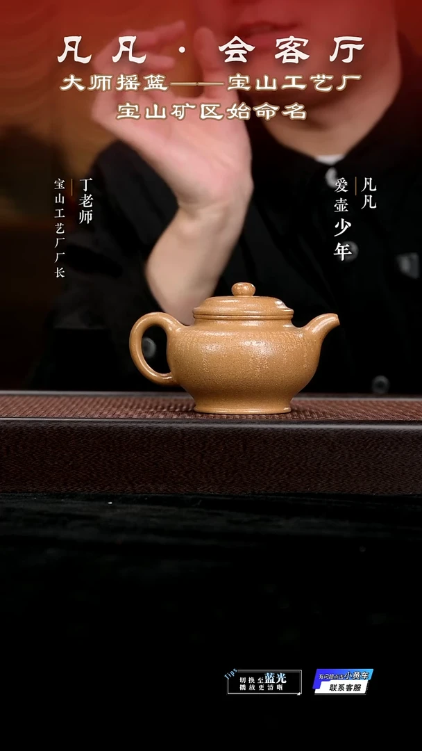 茶壶紫砂DL58 杨国琴 掇只 宝山七彩降坡泥300cc