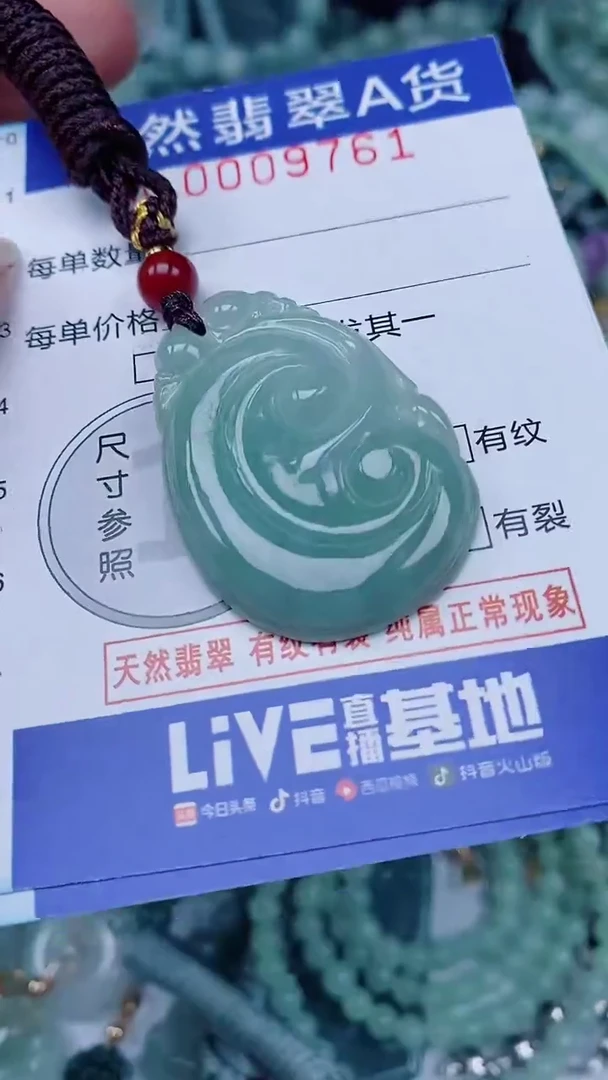 翡翠未镶嵌颈饰00009761