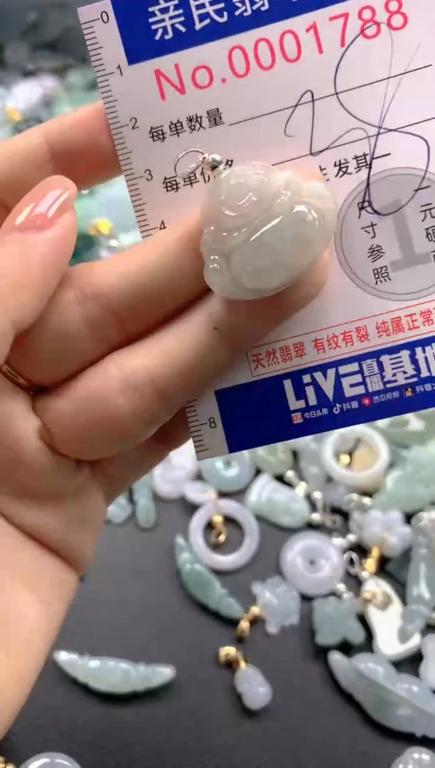 颈饰未镶嵌翡翠1788