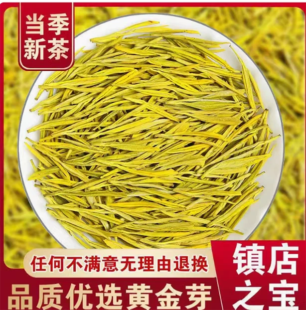 2025年黄金芽绿茶香气十足